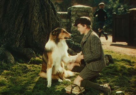 The influence of Lassie on children's literature and storytelling